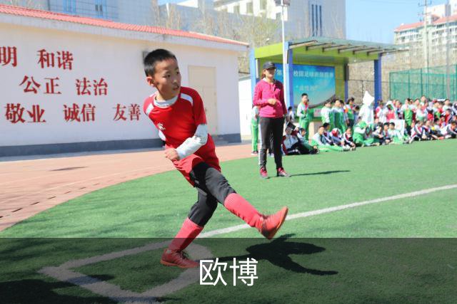 欧博公司简介展示图